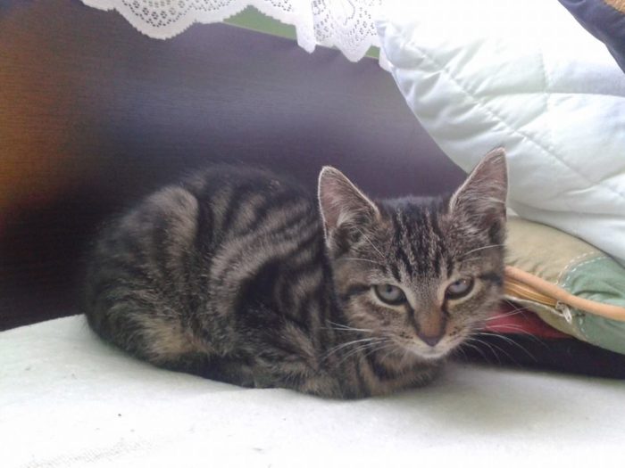 #10yearschallenge 2015 arya